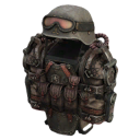 Medved