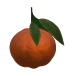 Fresh Mandarin