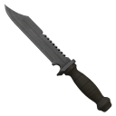 Gladius